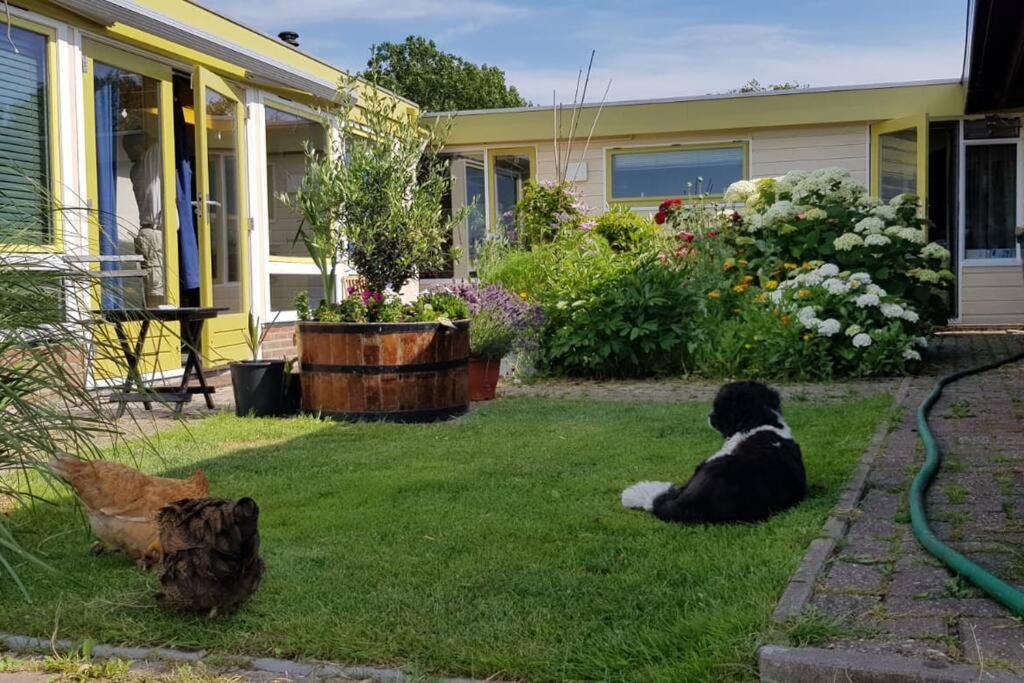 Out Of Amsterdam, River Apartment Close To City Broek in Waterland Zewnętrze zdjęcie