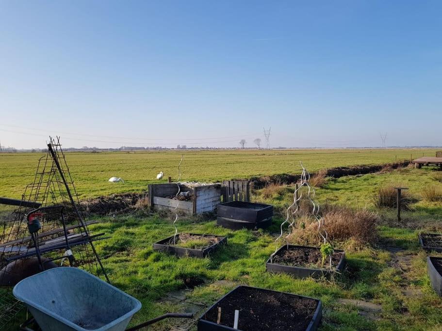 Out Of Amsterdam, River Apartment Close To City Broek in Waterland Zewnętrze zdjęcie