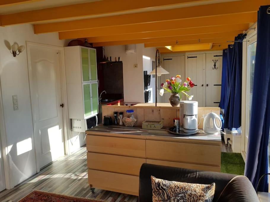 Out Of Amsterdam, River Apartment Close To City Broek in Waterland Zewnętrze zdjęcie