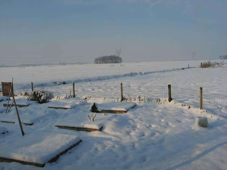 Out Of Amsterdam, River Apartment Close To City Broek in Waterland Zewnętrze zdjęcie